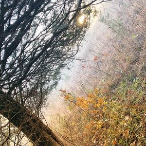 Meet your Posher, Darron